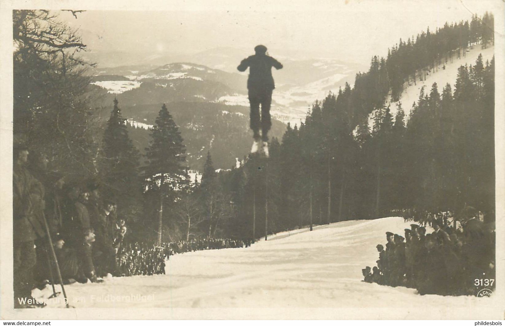 ALLEMAGNE  FELDBERG ( Carte Photo) Saut A Ski - Feldberg