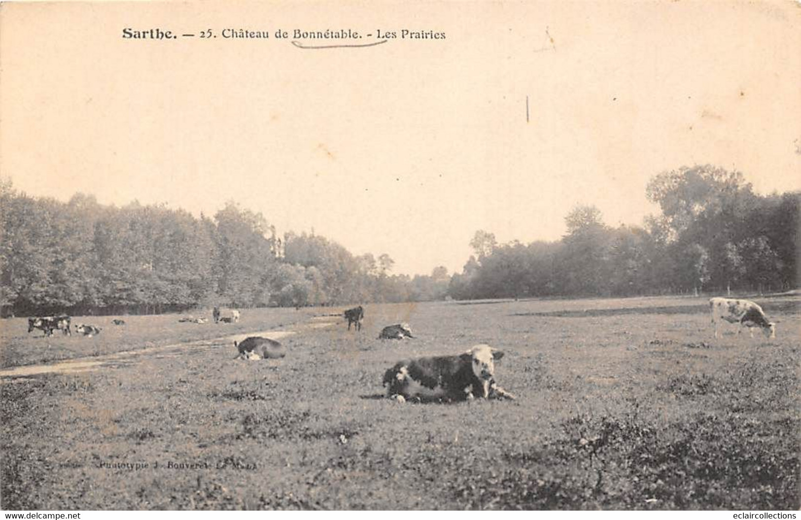 Bonnétable             72        Le Château. Les Prairies  - Vaches -              (voir Scan) - Bonnetable