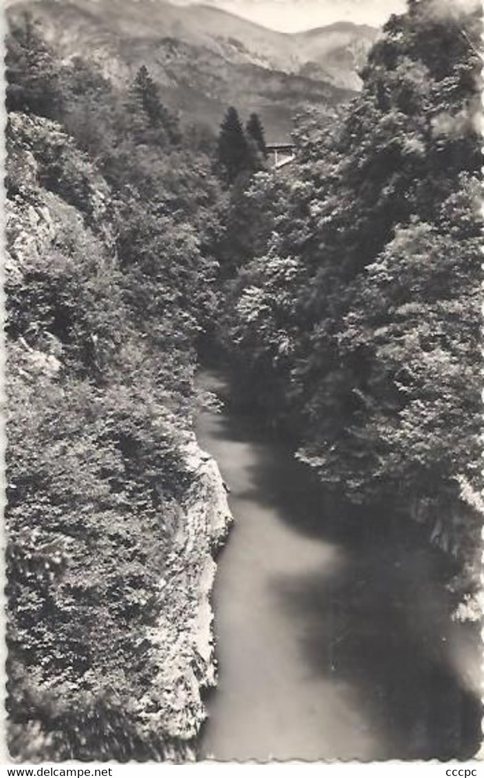 CPSM Mieussy Gorges Du Giffre Au Pont Du Diable - Mieussy