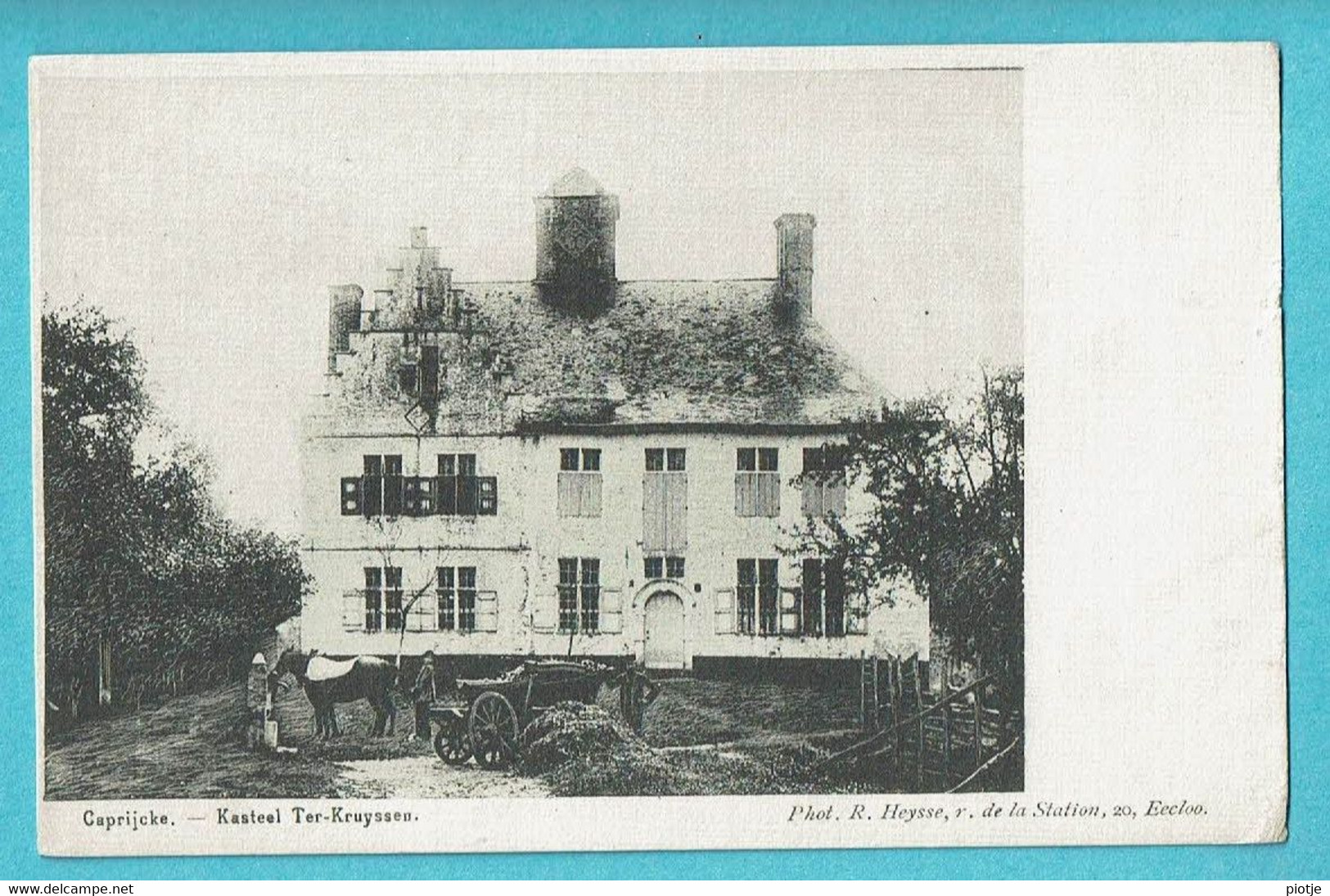 * Kaprijke - Caprijcke (Meetjesland - Oost Vlaanderen) * (Phot R. Heysse) Kasteel Ter Kruyssen, Chateau, Cheval, TOP - Kaprijke