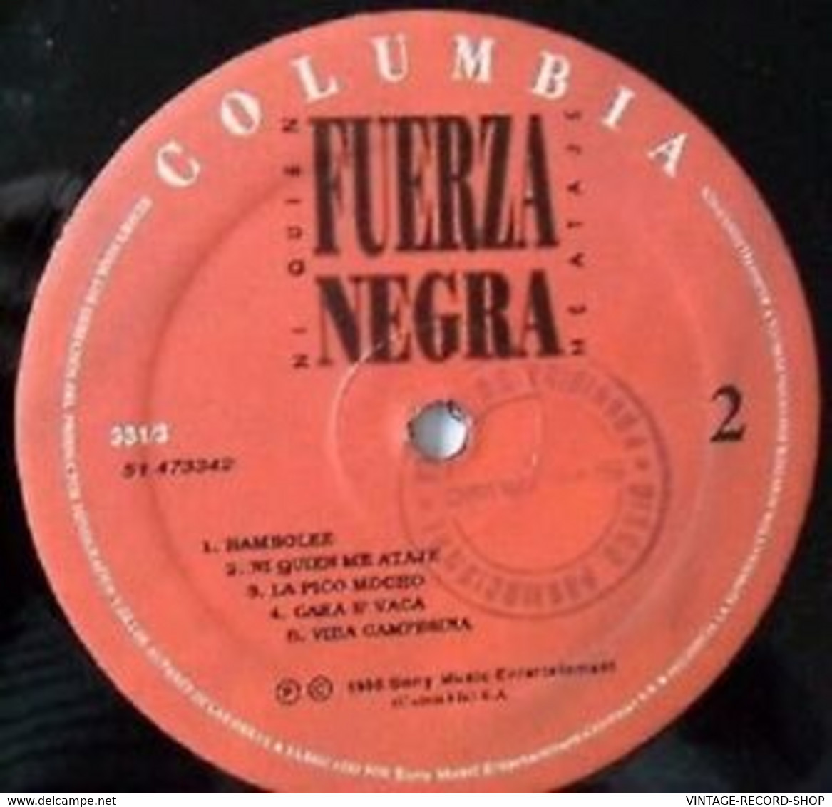 FUERZA NEGRA-NI QUIEN ME ATAJE-MATICA DE MAFAFA-VARIOS /PROMO-COLUMBIA 1995 - World Music