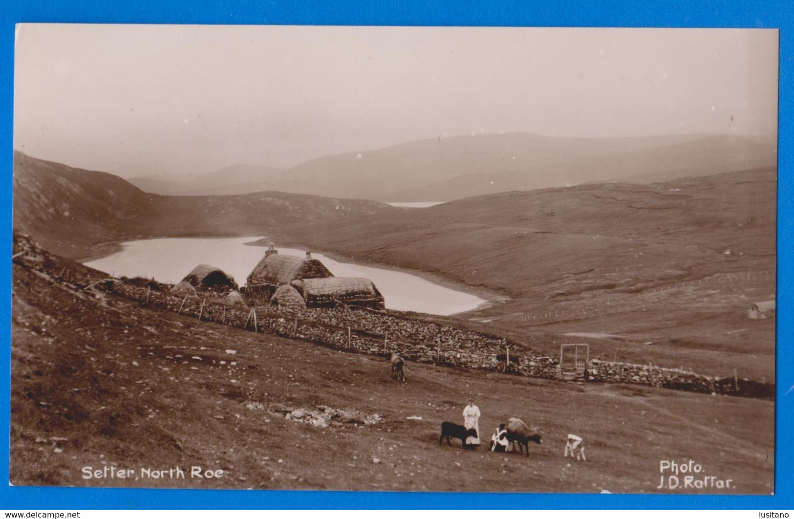 U.K. - Scotland - Shetland - Setter North Roe - J.D. Rattar - Vintage Photo Postcard - Shetland