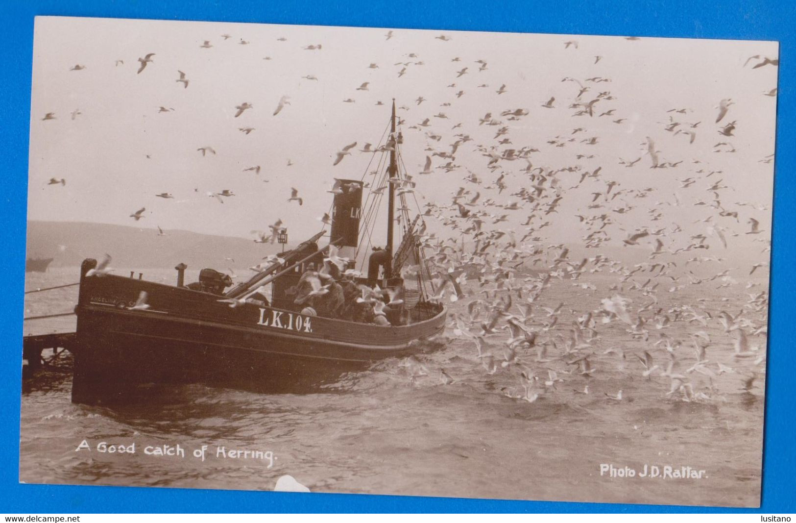 U.K. - Scotland - Shetland - A Good Catch Of Merring - J.D. Rattar - Vintage Photo Postcard - Shetland