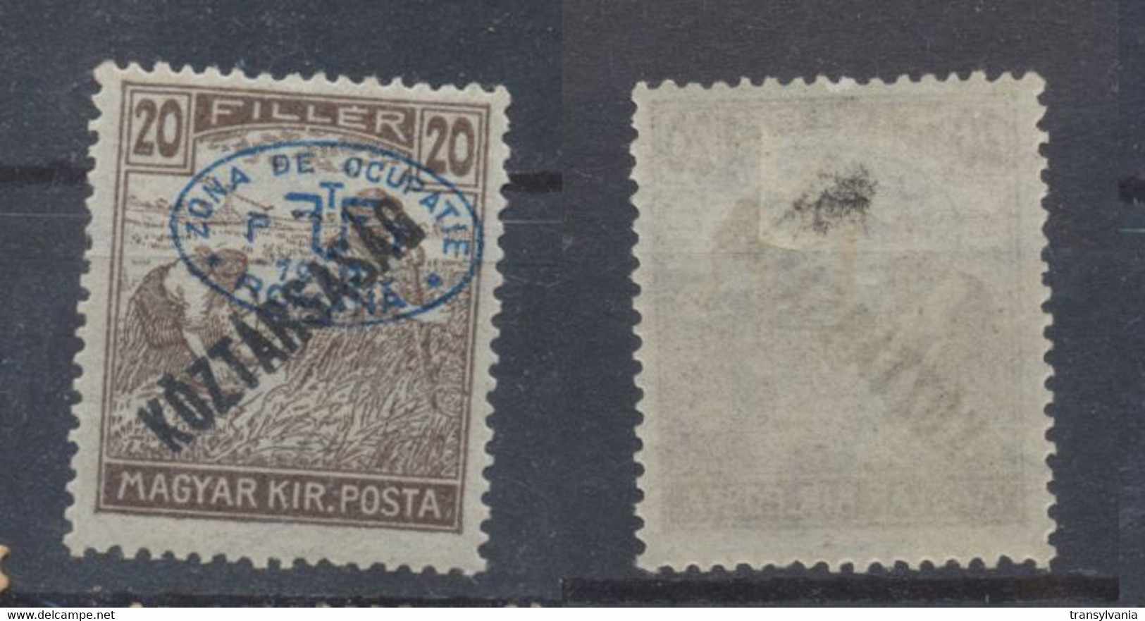 Romania Debrecen Occupation Overprint 1919 On Hungary Harvesters Koztarsasag Issue 20 Filler Stamp MLH - Ortsausgaben