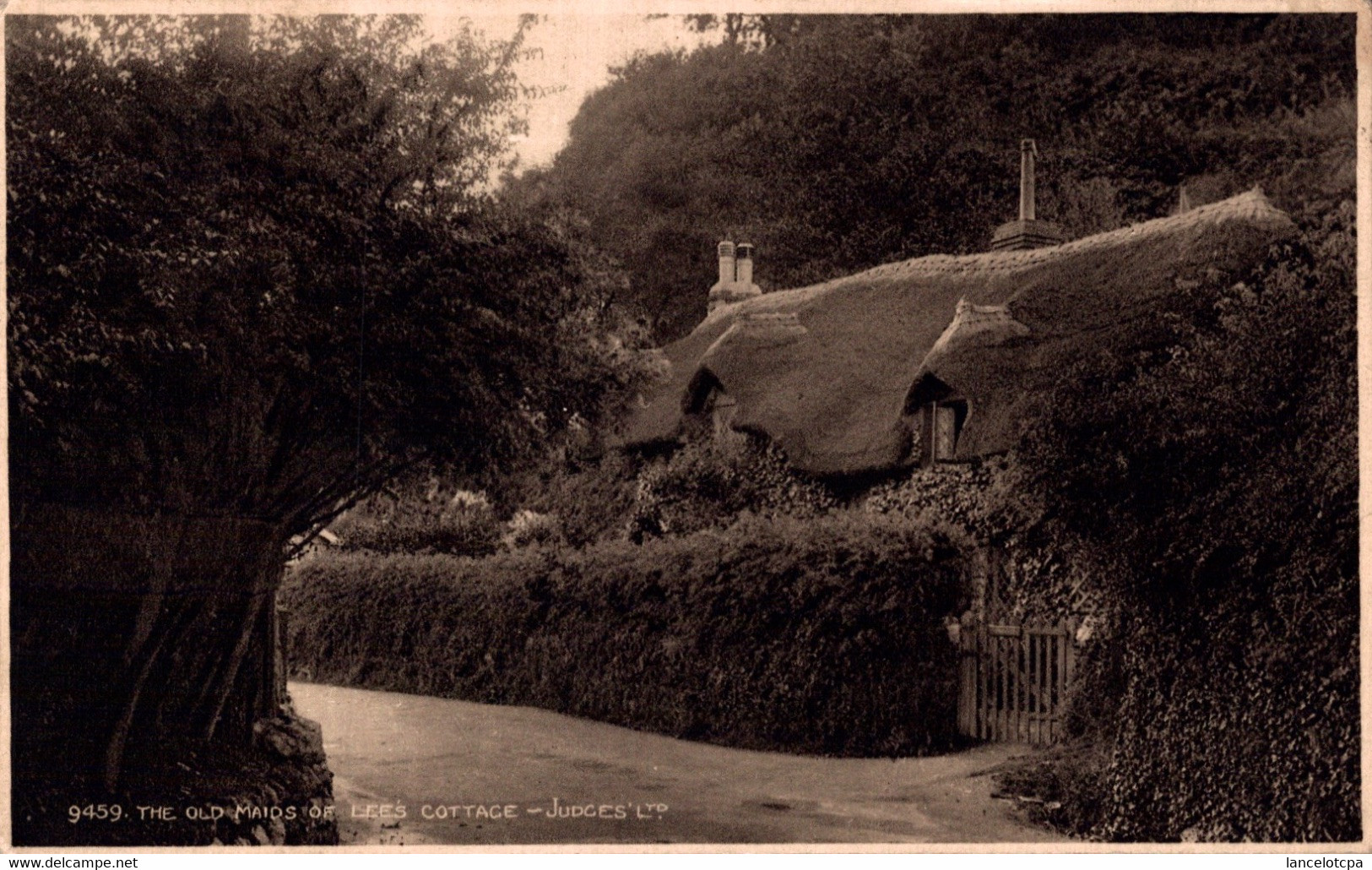 ILFRACOMBE / THE OLD MAIDS OF LEES COTTAGE - Ilfracombe