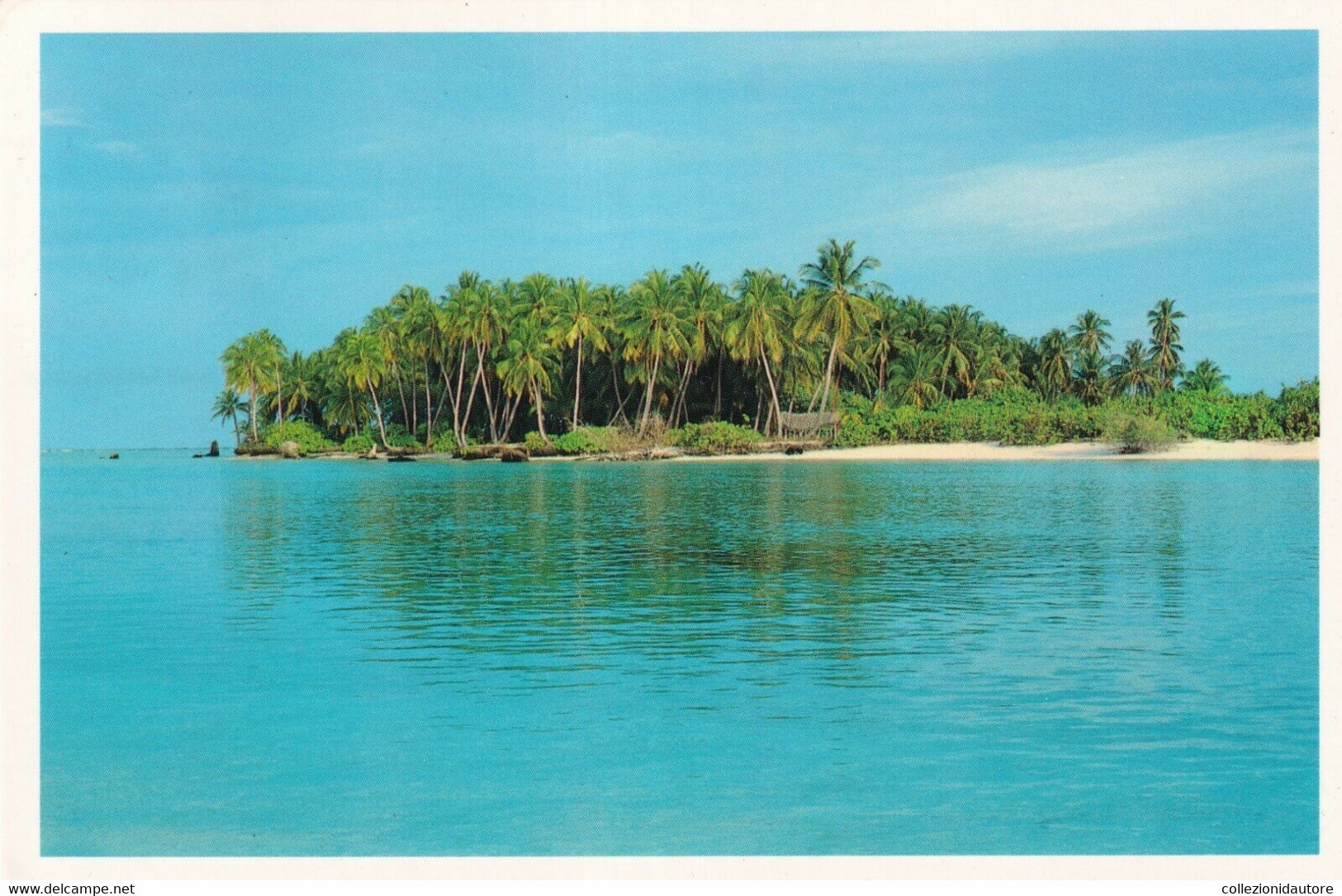 MALDIVES - CARTOLINA FG SPEDITA NEL 1996 - COCONUT PALMS SET IN COOL AQUAMARINE - Maldivas