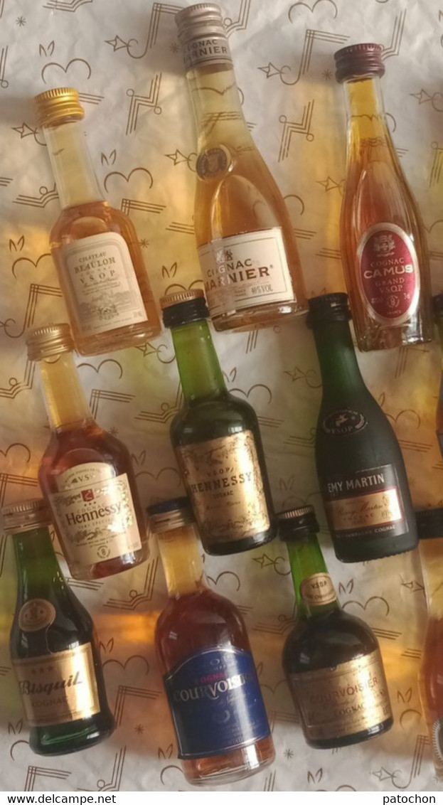 23 Mignonnettes Cognac Whisky Etc DOBLE.V Otard Camus Couvoisier Martell Marnier Ect...! - Miniflesjes