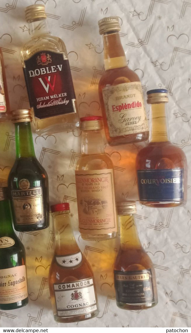 23 Mignonnettes Cognac Whisky Etc DOBLE.V Otard Camus Couvoisier Martell Marnier Ect...! - Mignonettes