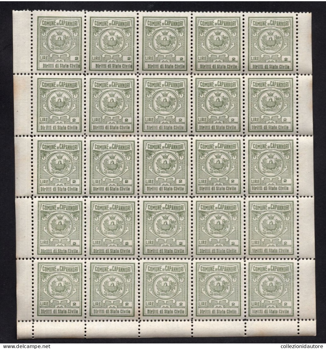 COMUNE DI CAPANNORI - FOGLIO INTERO CON 25 MARCHE DA BOLLO DA 2 LIRE - DIRITTI DI STATO CIVILE - MISURA 16X14,5 CM. - Revenue Stamps