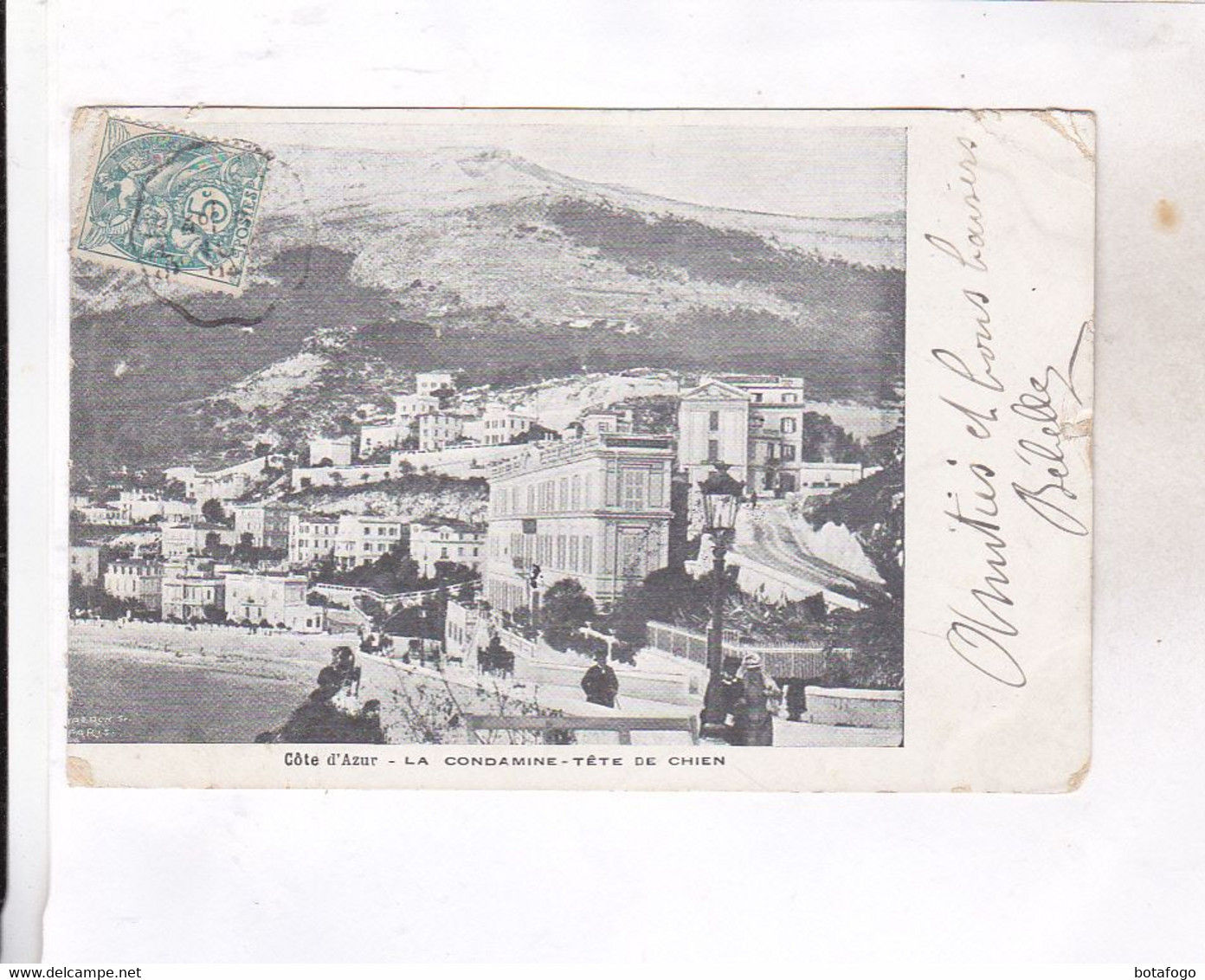 ,CPA ROCHER DE MONACO ,  LA CONDAMINE , TETE DE CHIEN  En 1904 - La Condamine