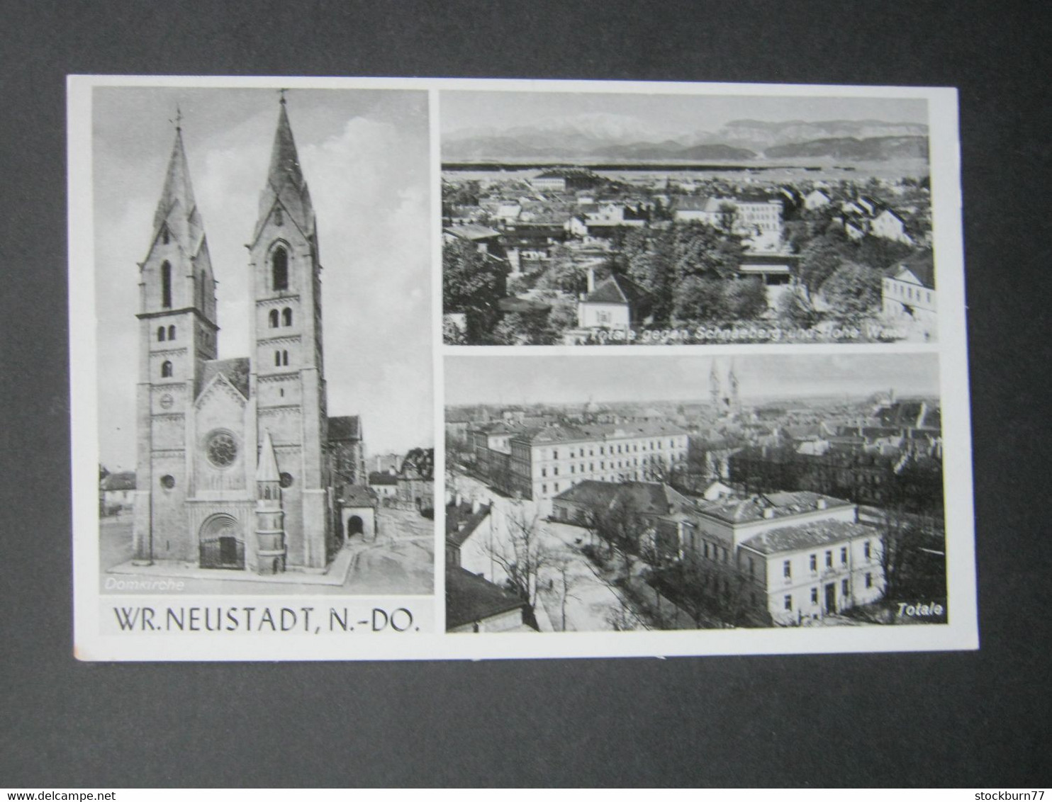 Wiener Neustadt,  Schöne Karte  Um 1935 - Wiener Neustadt