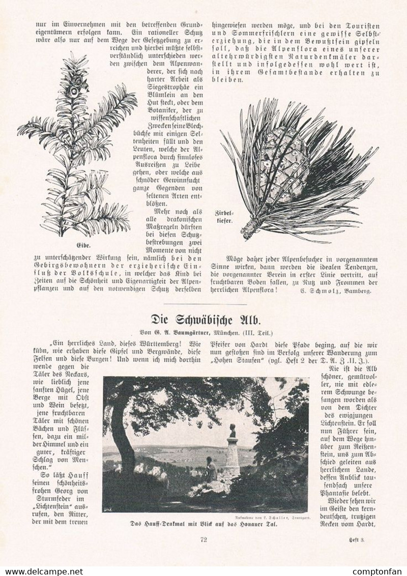 A102 1345-2 Schwäbische Alb Drackenstein Hohentwiel 2 Artikel / Bilder 1903 !! - Sonstige & Ohne Zuordnung