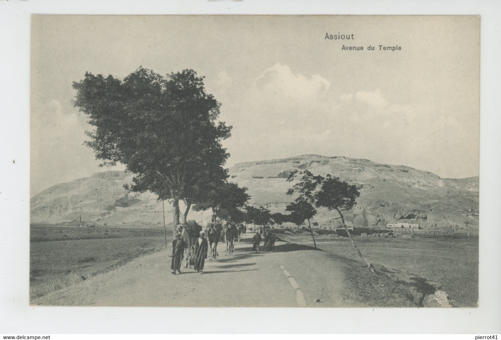 AFRIQUE - EGYPTE - ASSIOUT - Avenue Du Temple - Assioet