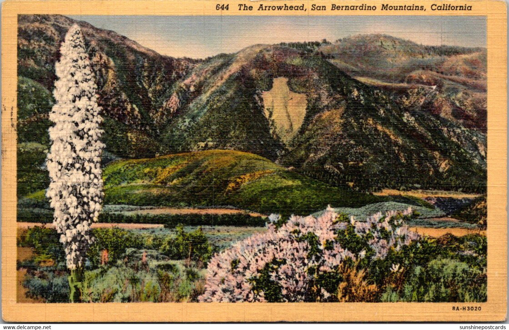 California San Bernardino Moutains The Arrowhead Curteich - San Bernardino