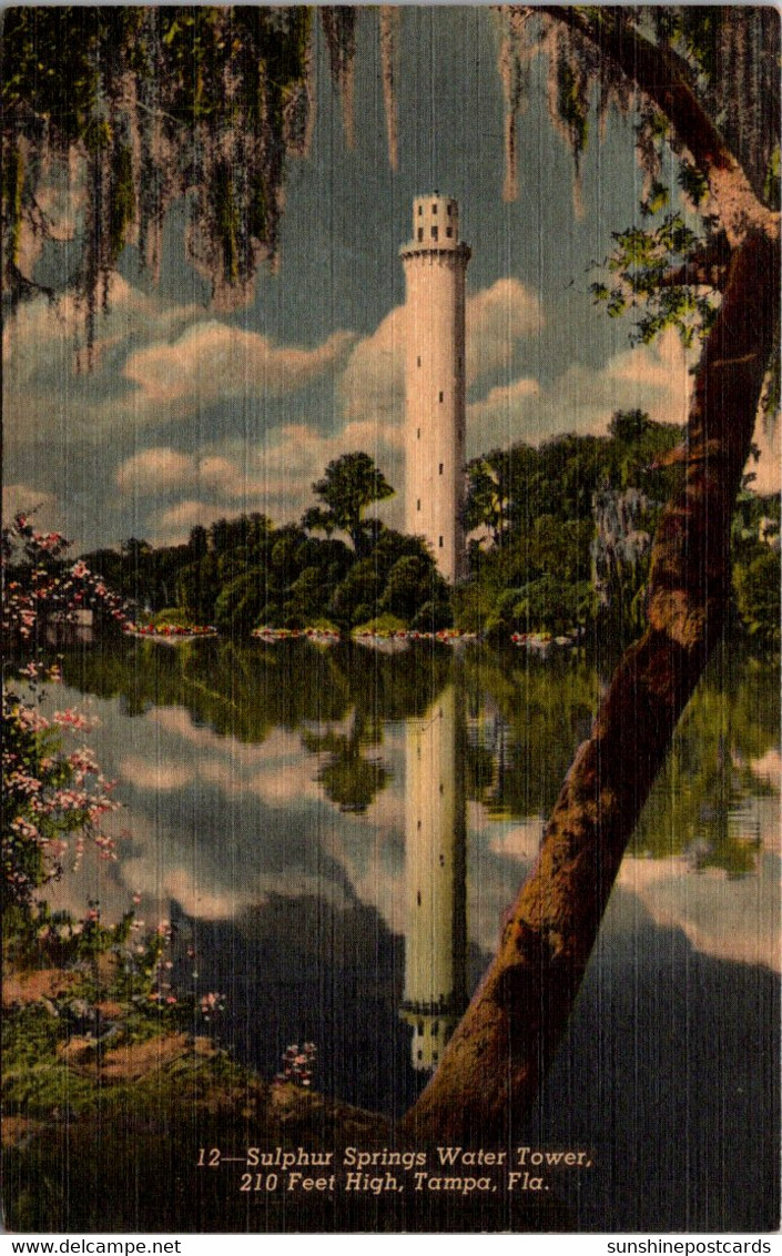 Florida Tampa Sulphur Springs Water Tower - Tampa