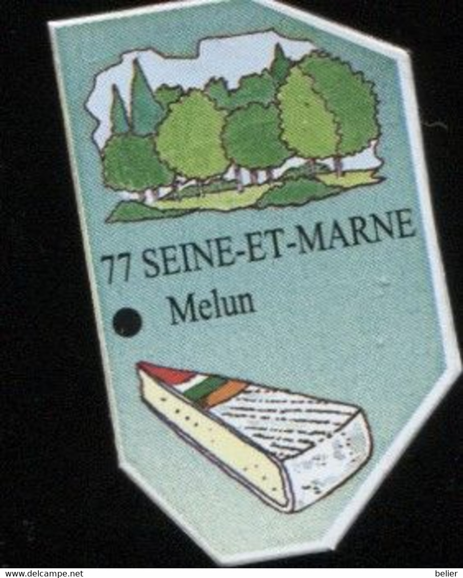 MAGNET N° 77 SEINE-ET-MARNE - Magnets