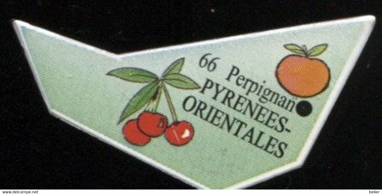 MAGNET N° 66 PYRENEES-ORIENTALES - Magnets
