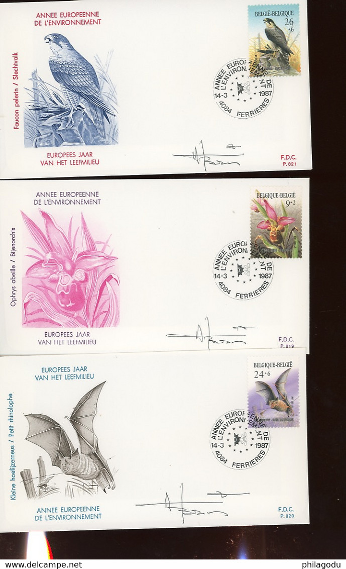 1987. FDC  Nature Faucon. Valk - 1981-1990