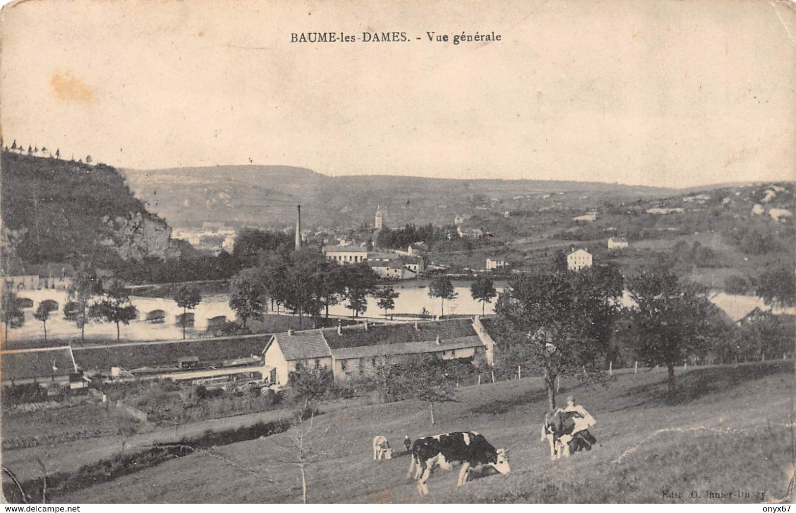 BAUME-LES-DAMES-25-Doubs-Vue Générale  Et Les Vaches - Baume Les Dames