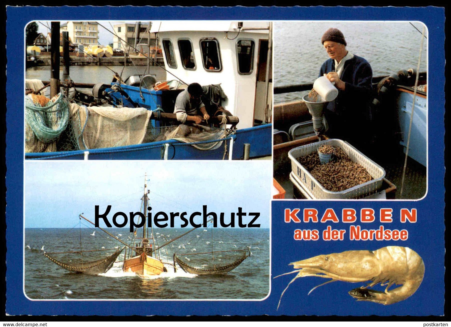 ÄLTERE POSTKARTE KRABBEN AUS DER NORDSEE KRABBENKUTTER SCHIFF KUTTER Bateau Crabes Crabs Ship Postcard Cpa Ansichtskarte - Pesca