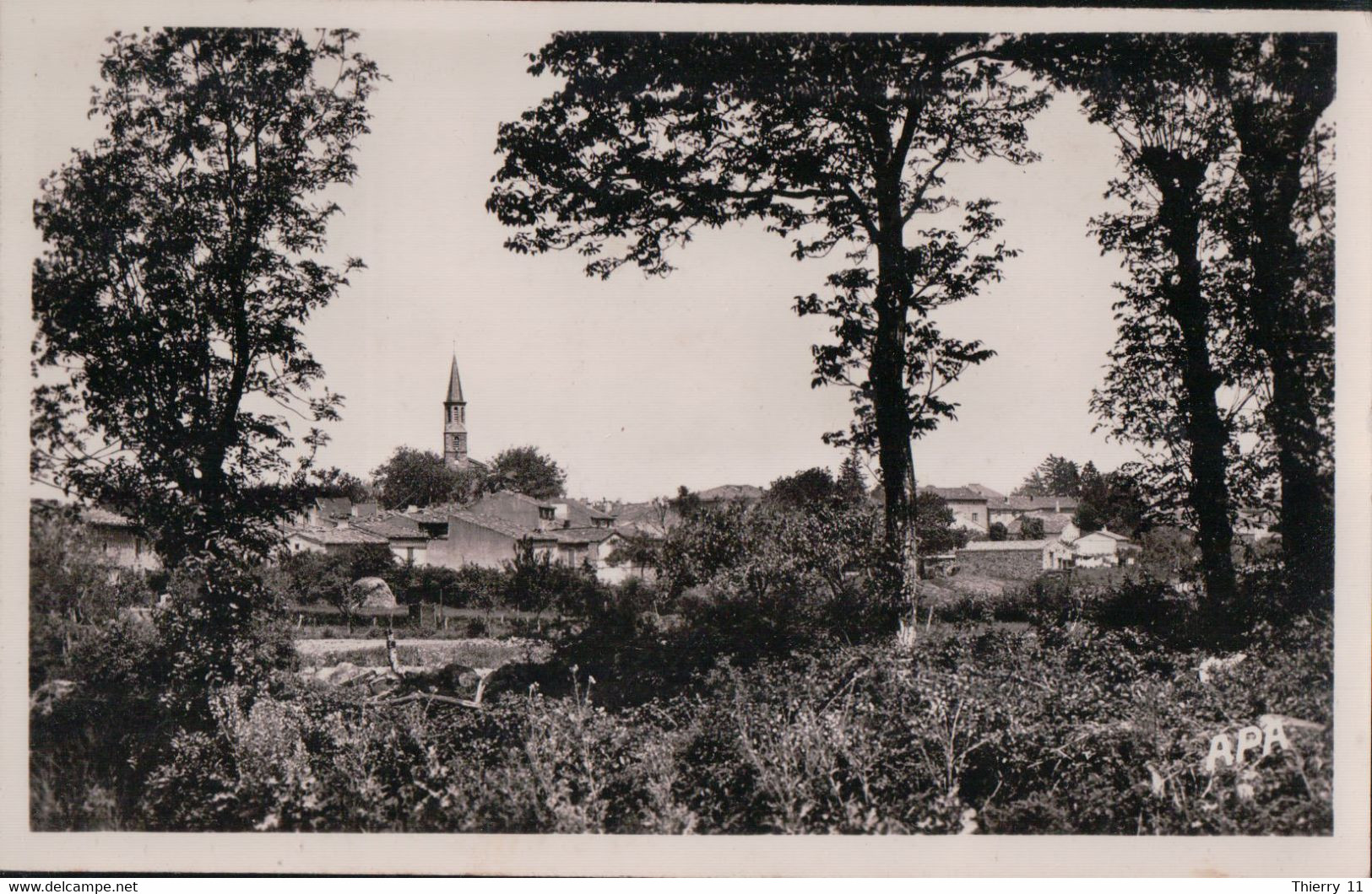 Cpsm 81 Montredon-Labessonnie , Labessonnie En Flânant - Montredon Labessonie