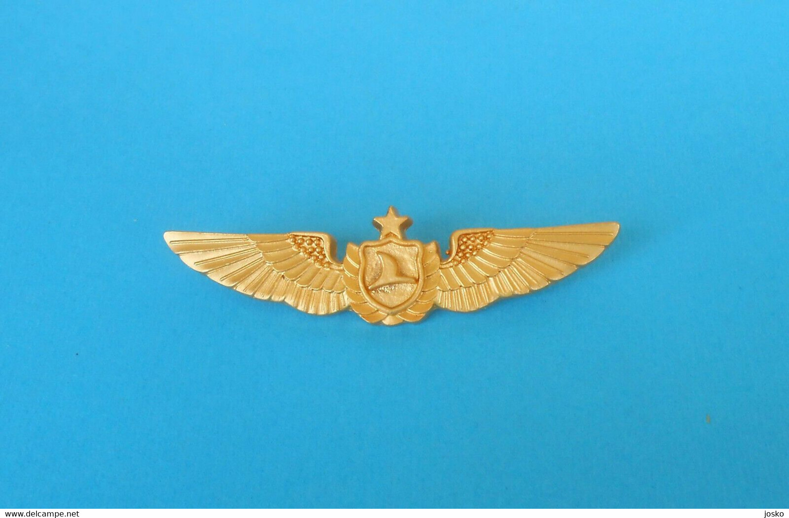 TURKISH AIRLINES - Nice Rare Large Official Pilot Wings Badge * Pilote Turkiye Turkey Türkei Turquie - Distintivi Equipaggio
