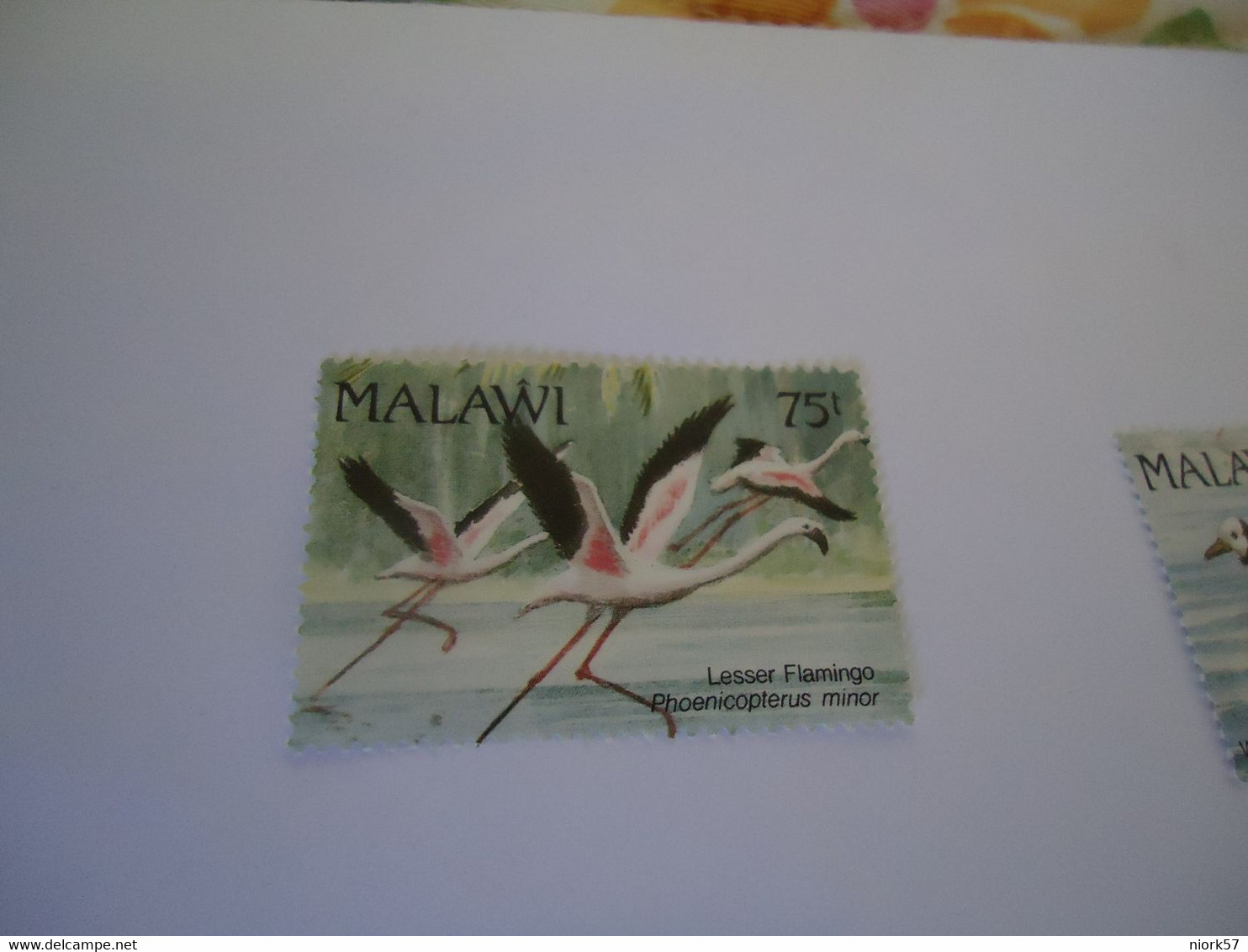 MALAWI  MNH     STAMPS   BIRD BIRDS  FLAMIGO - Flamingos