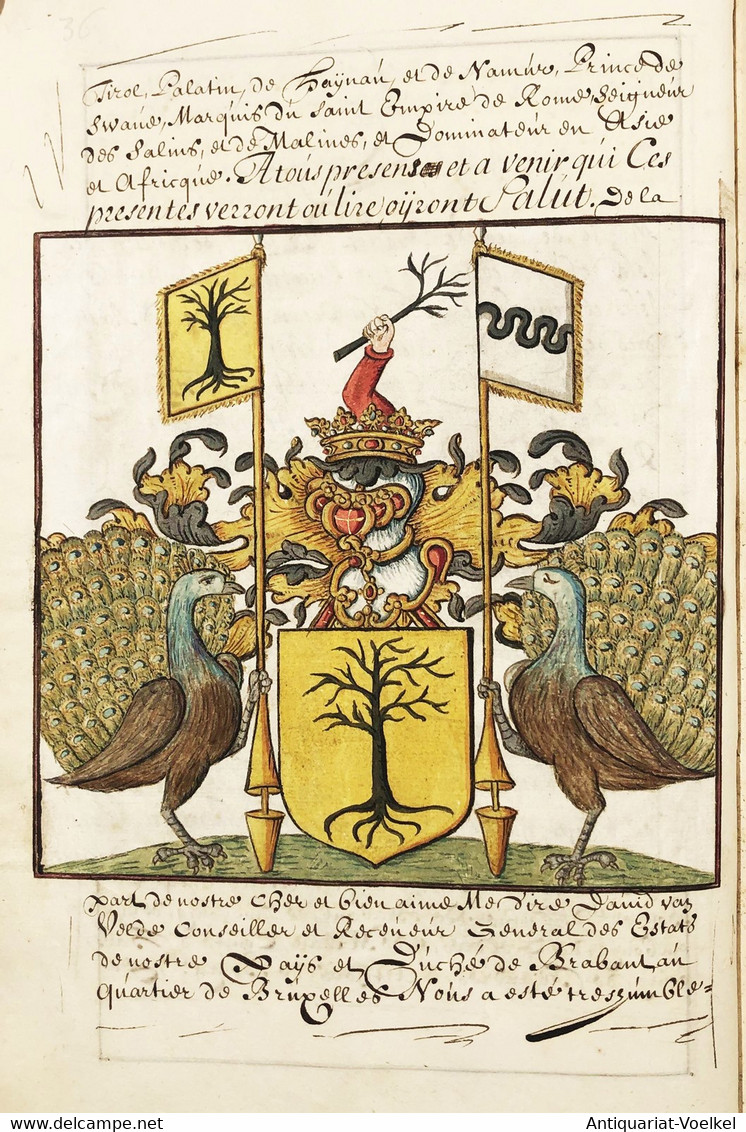 Armorial Of The Belgian Van De Velde Family - Teatro & Script