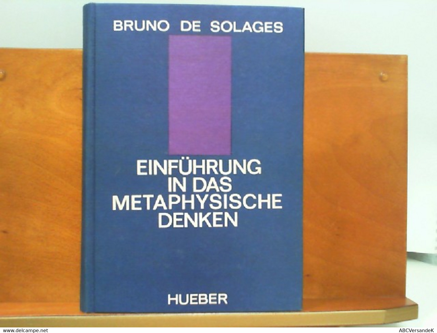 Einführung In Das Metaphysische Denken - Filosofie