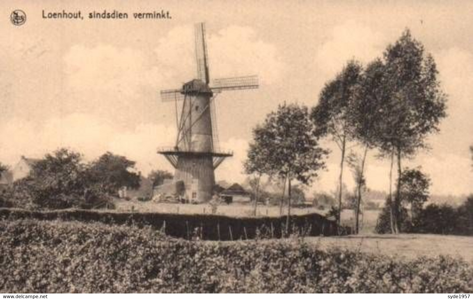 Loenhout, Sindsdien Verminkt Windmolen, Moulin à Vent - Wuustwezel