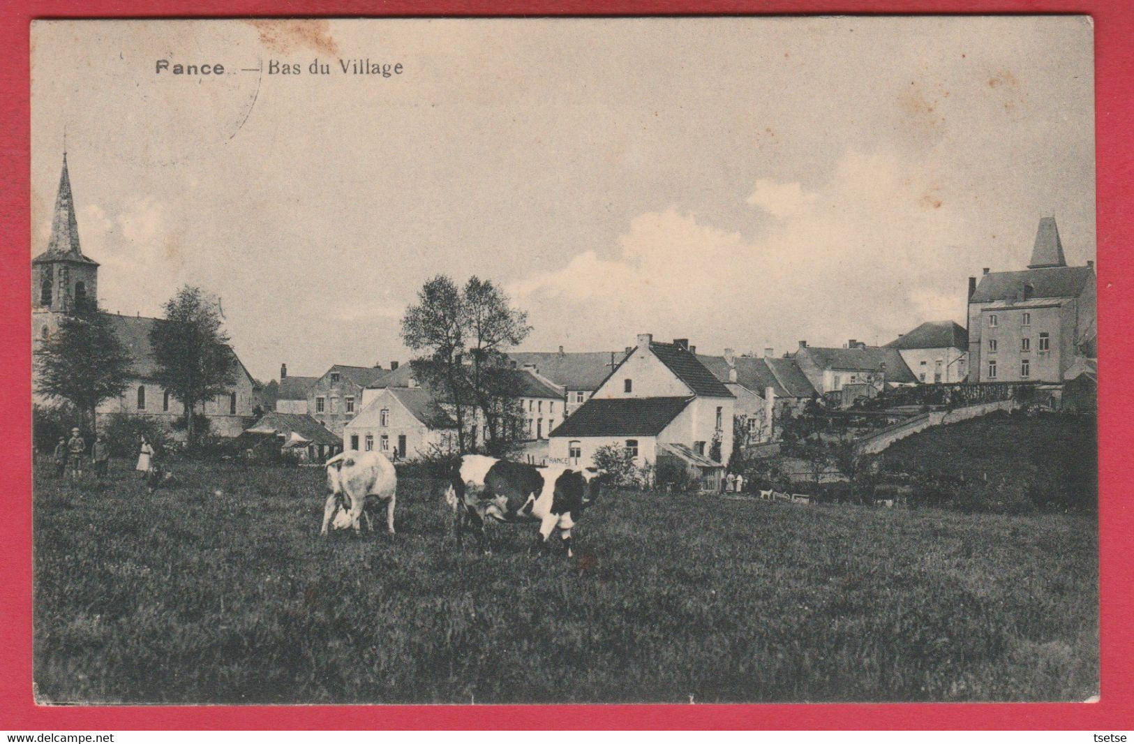 Rance - Bas Du Village ... Vaches Dans Le Pré  ( Voir Verso ) - Sivry-Rance