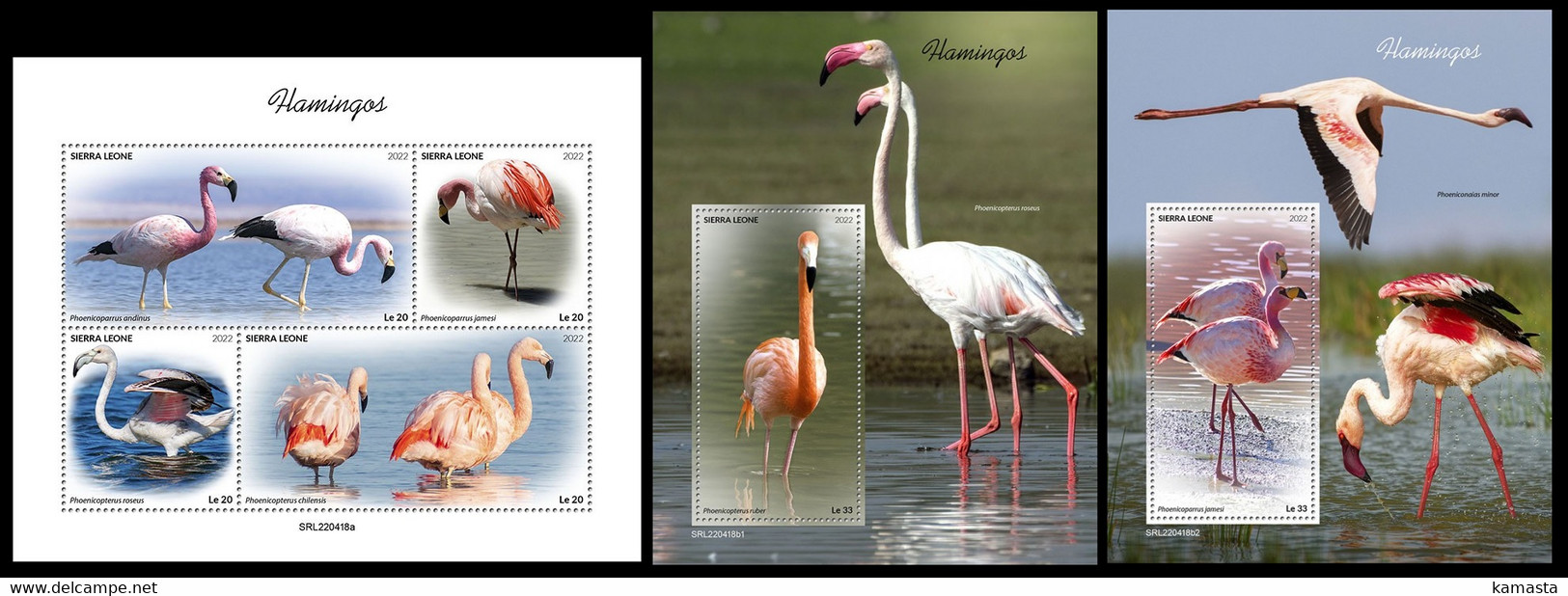 Sierra Leone  2022 Flamingos. (418) OFFICIAL ISSUE - Flamingos