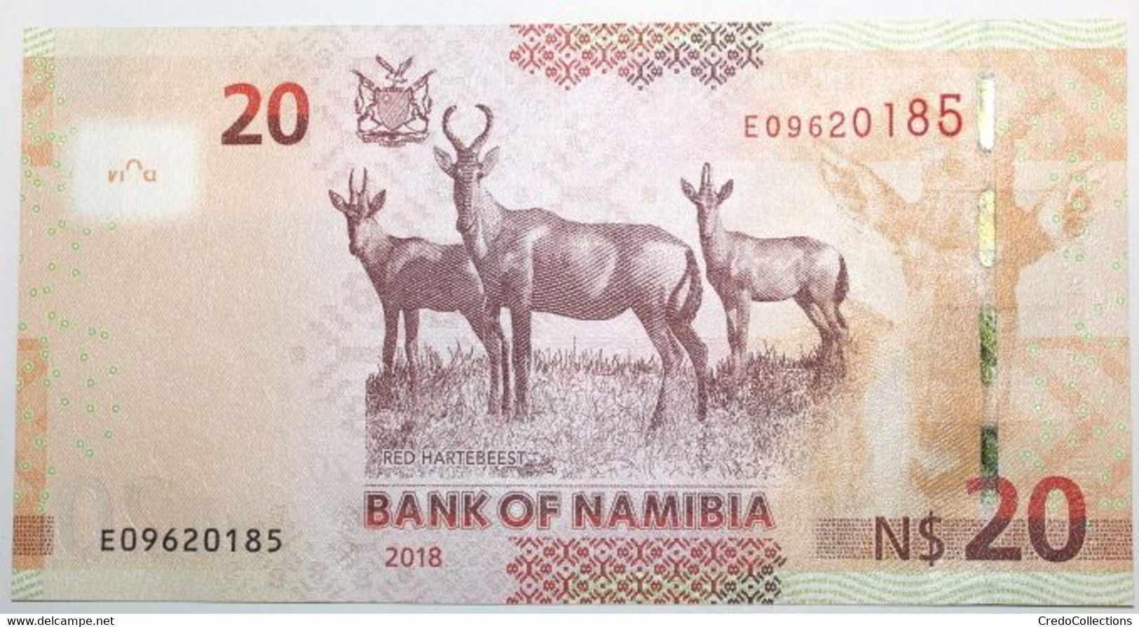 Namibie - 20 Dollars - 2018 - PICK 17b - NEUF - Namibie