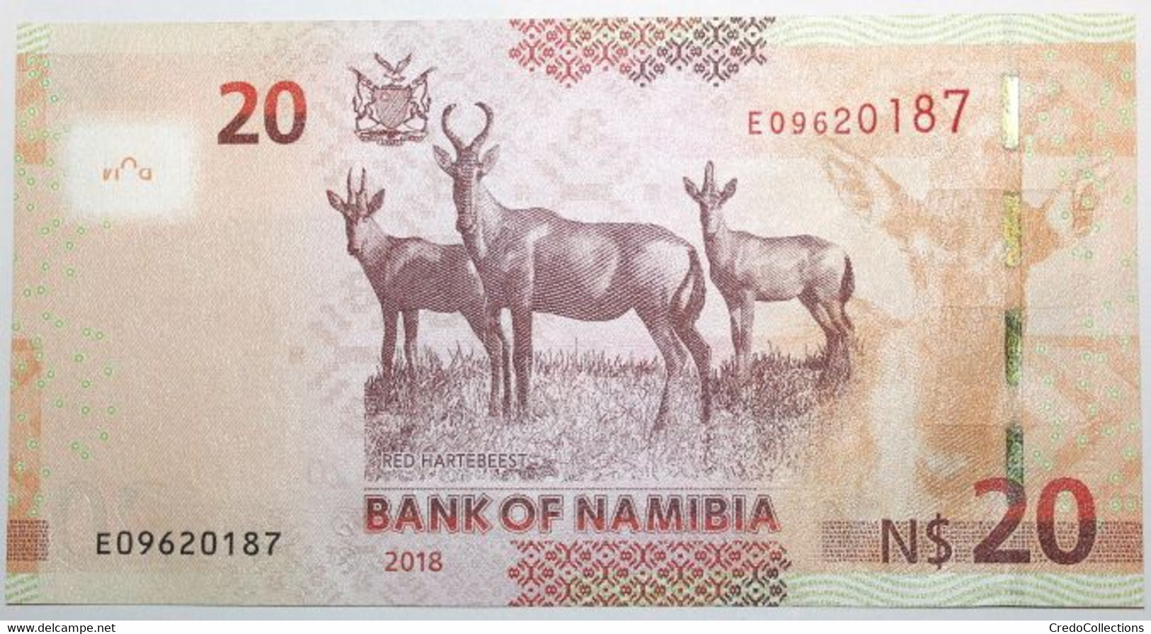 Namibie - 20 Dollars - 2018 - PICK 17b - NEUF - Namibië