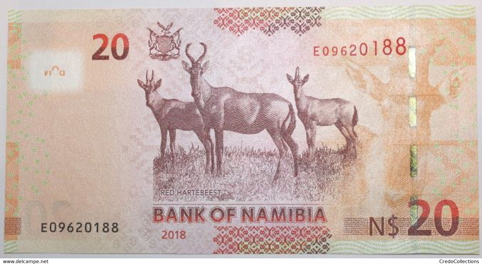 Namibie - 20 Dollars - 2018 - PICK 17b - NEUF - Namibie