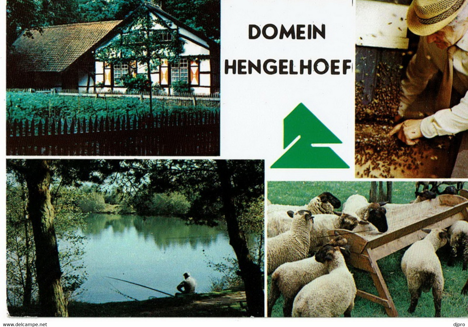 Houthalen  Hengelhoef - Houthalen-Helchteren