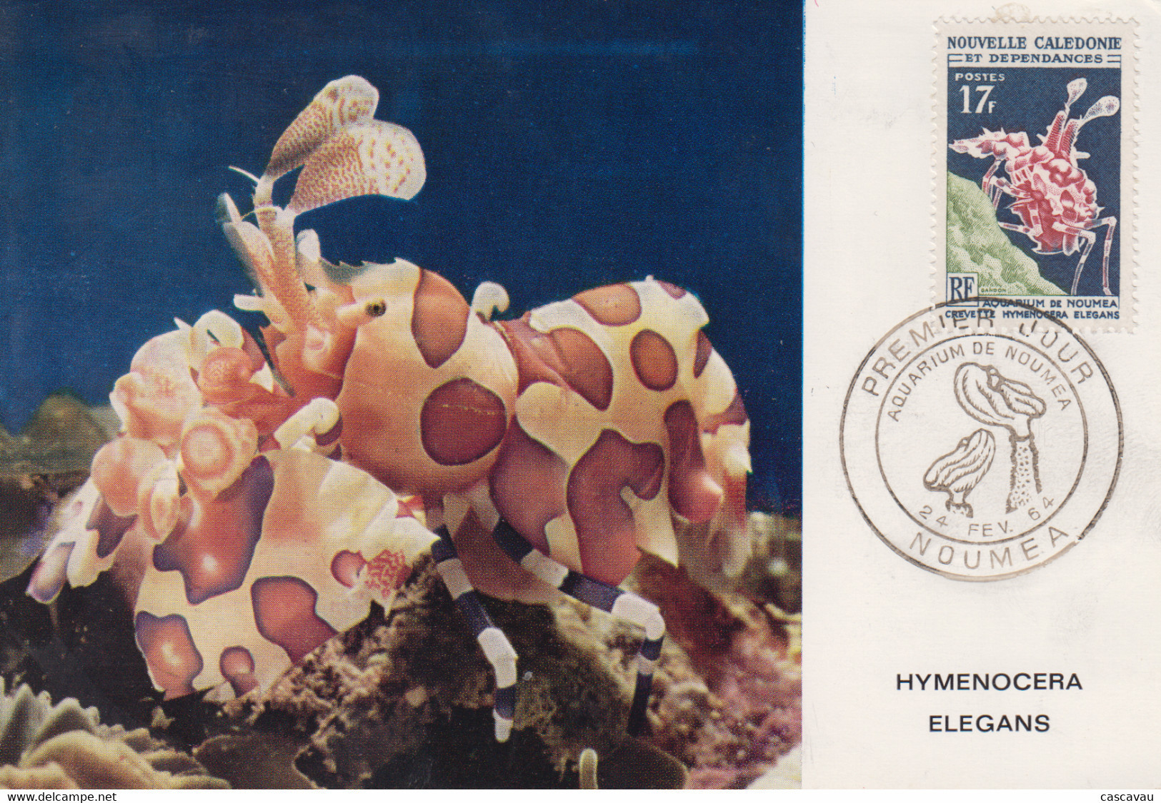 Carte  Maximum  1er Jour   NOUVELLE CALEDONIE   Aquarium  De  NOUMEA   1964 - Tarjetas – Máxima