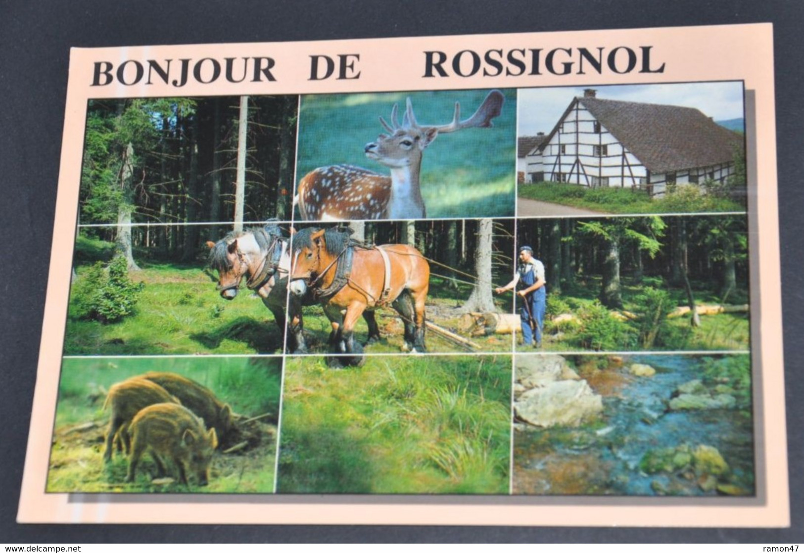 Bonjour De Rossignol - Editons Lander, Eupen - Tintigny