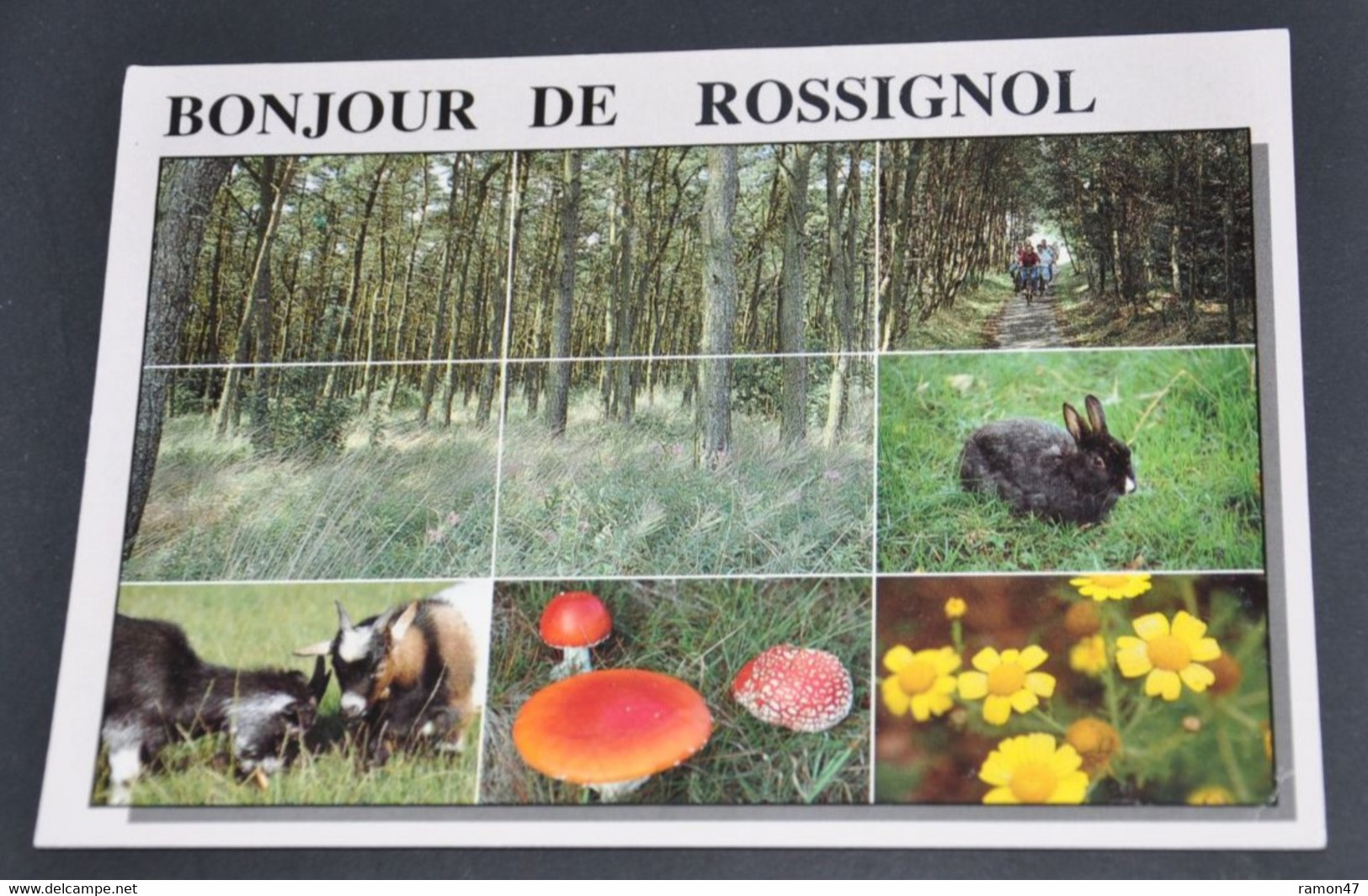 Bonjour De Rossignol - Editons Lander, Eupen - Tintigny