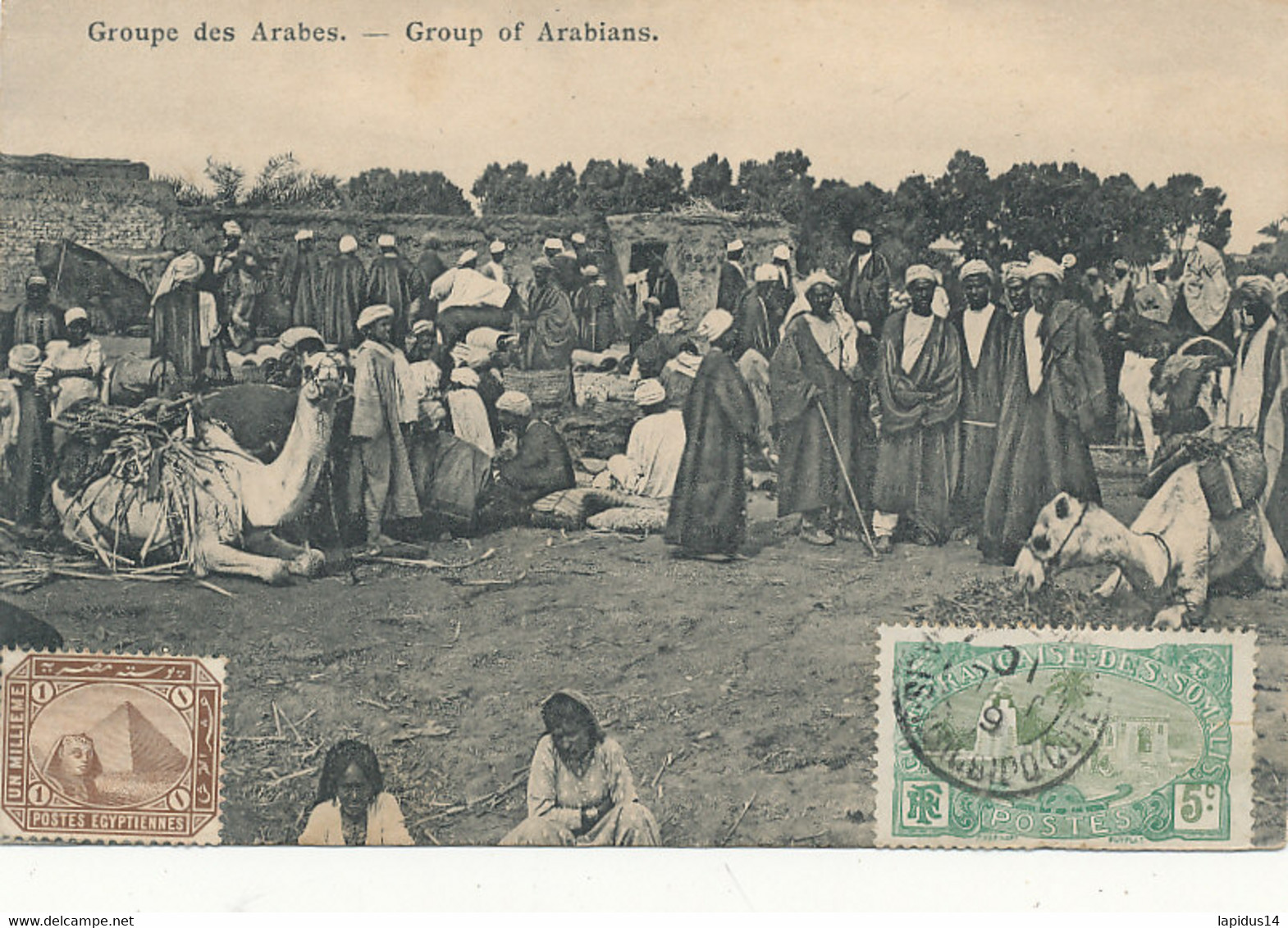 AV 356 / C P A   AFRIQUE DJIBOUTI-  SOMALI  GROUPE DES ARABES  GROUP OF ARABIANS - Djibouti