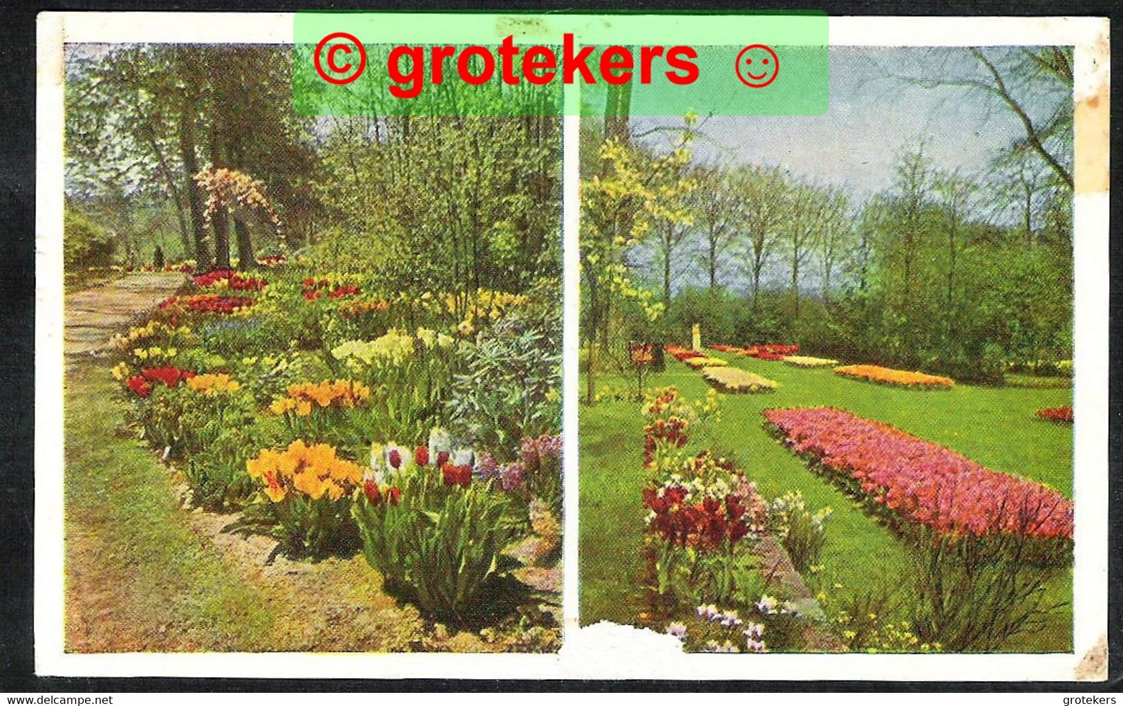 LISSE Keukenhof 1956 Met Reclamehandstempel (van De Wart 30(6) - Lisse