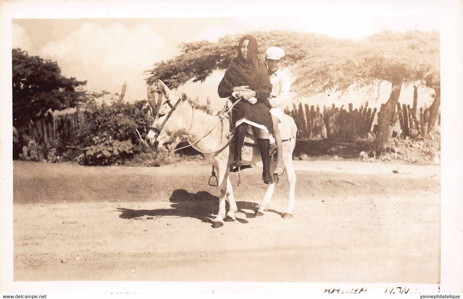 ARUBA - Carte Photo - Voyagée - - Superbe - (Aru-22) - Aruba