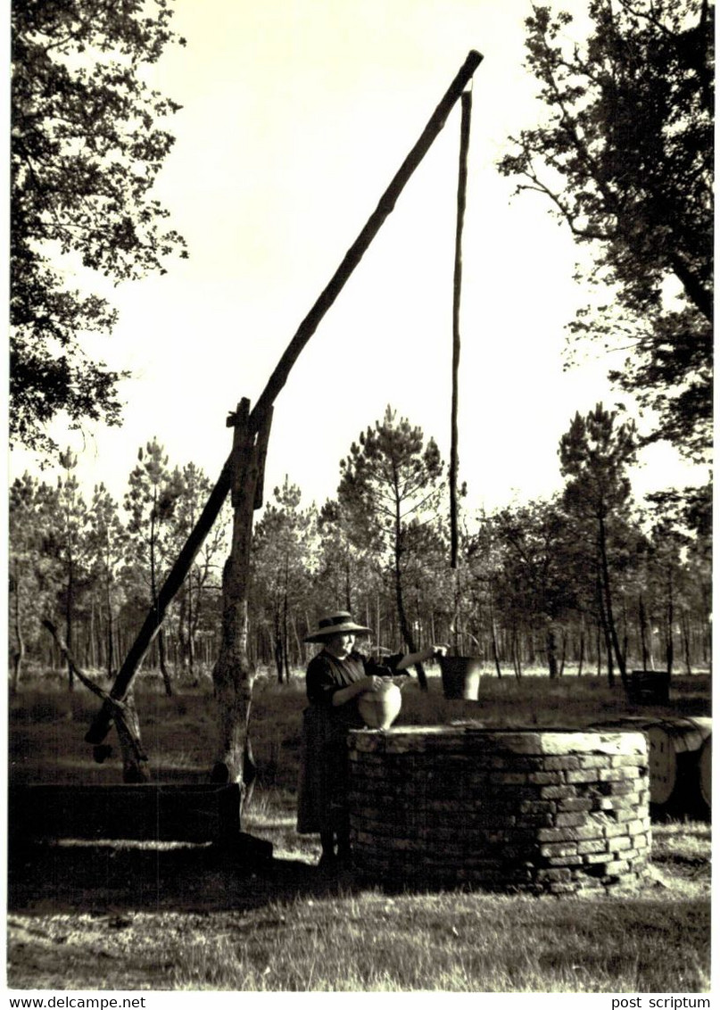 Parc Naturel Régional Des Landes De Gascogne - Puits à Balancier Sabres 1938 - Sabres