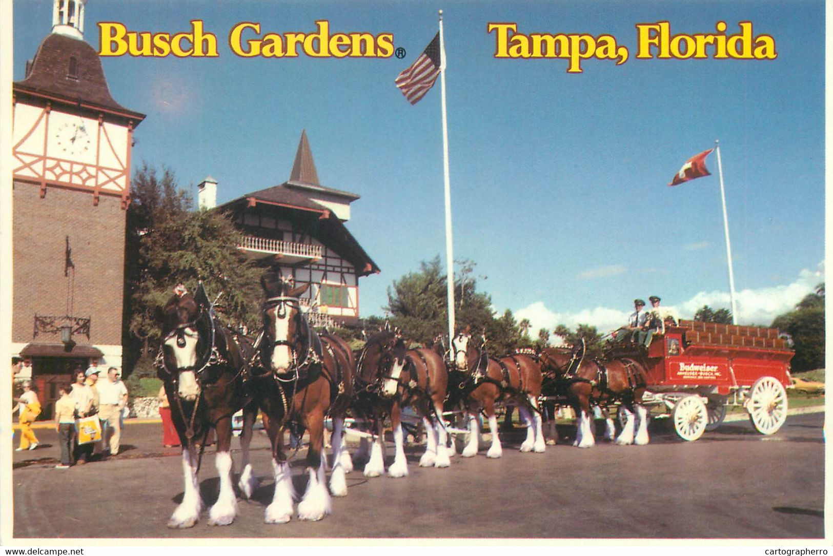 Postcard USA FL Busch Gardens 8 Horse Drawn Coach - Tampa