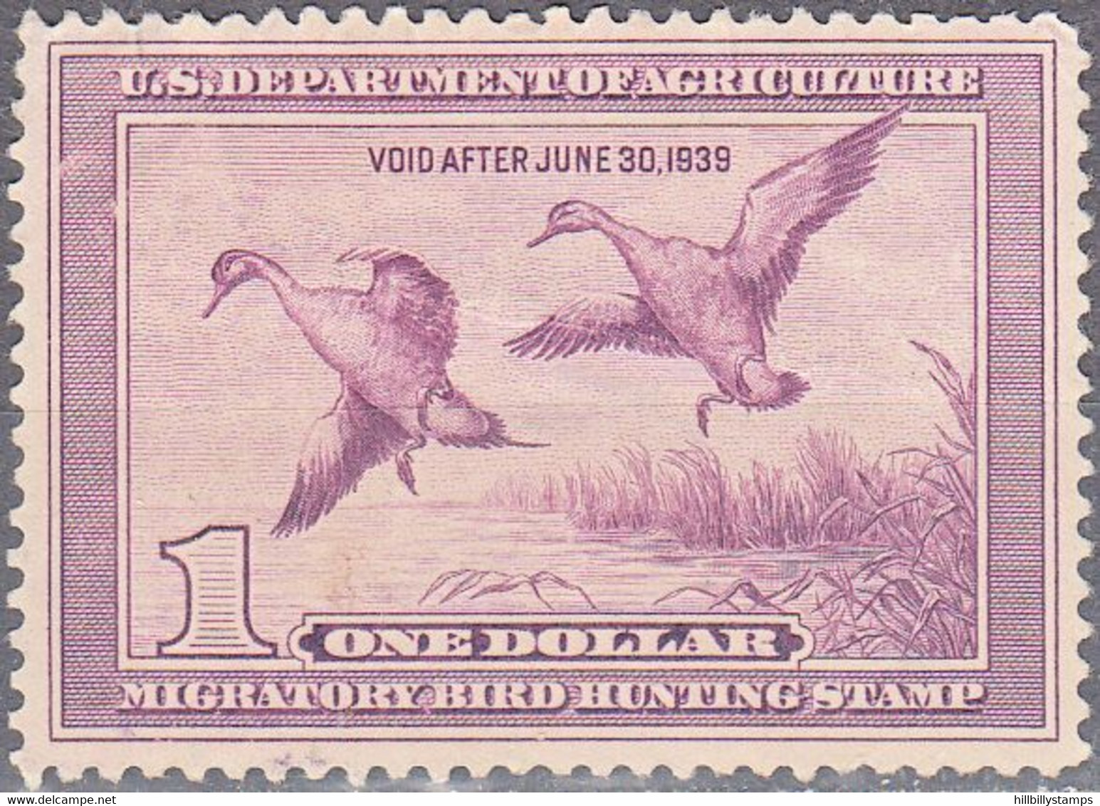 UNITED STATES  SCOTT NO RW5  MINT NO GUM  YEAR  1938 - Duck Stamps