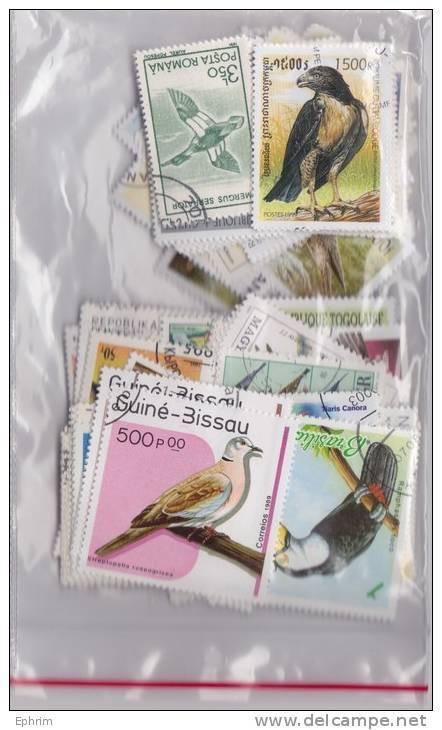 OISEAUX BIRDS PAJAROS VÖGELS Lot Varié De + De 230 Timbres Thèmatiques Différents Du Monde World Topic Stamps Sellos - Vrac (max 999 Timbres)