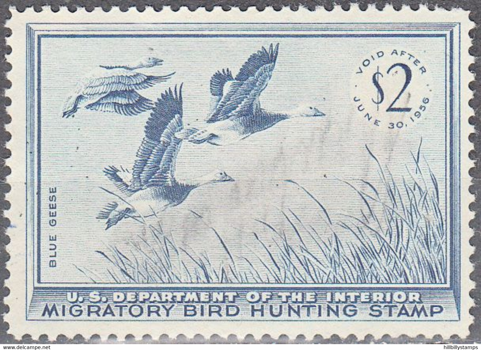 UNITED STATES  SCOTT NO RW22  USED  YEAR  1955 - Duck Stamps