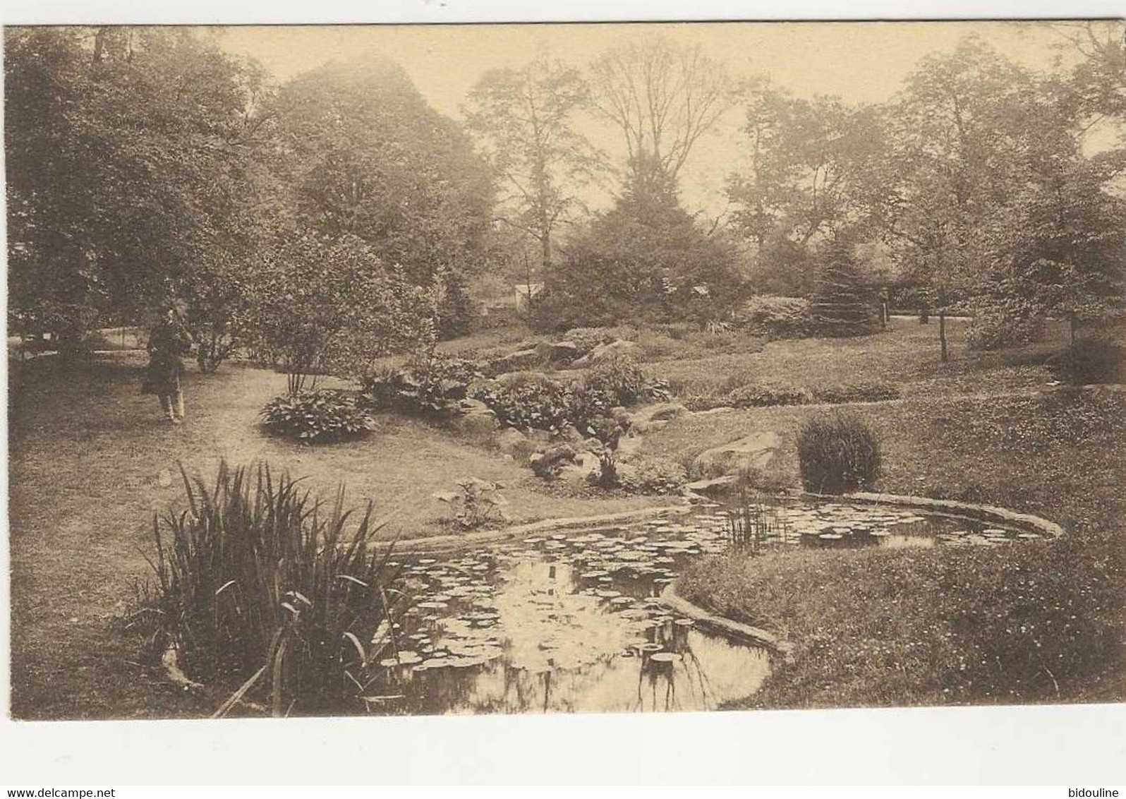 CPA-BRUXELLES " Jardin Botanique De L'Etat - Forêts, Parcs, Jardins