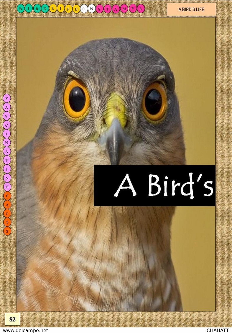 BIRDLIFE ON STAMPS- Ebook-(PDF)-DIGITAL-326 FULLY COLORED-A4-SIZE-ILLUSTRATED BOOK-ISBN-978-93-5659-173-8-EB-01