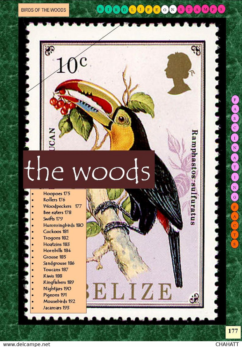 BIRDLIFE ON STAMPS- Ebook-(PDF)-DIGITAL-326 FULLY COLORED-A4-SIZE-ILLUSTRATED BOOK-ISBN-978-93-5659-173-8-EB-01